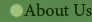 about us button
