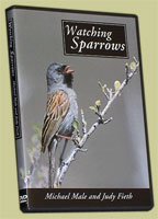watching sparrows dvd